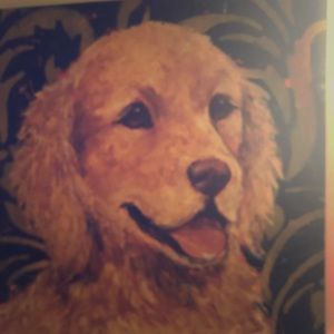 Paintings. Approx. 24x24 each